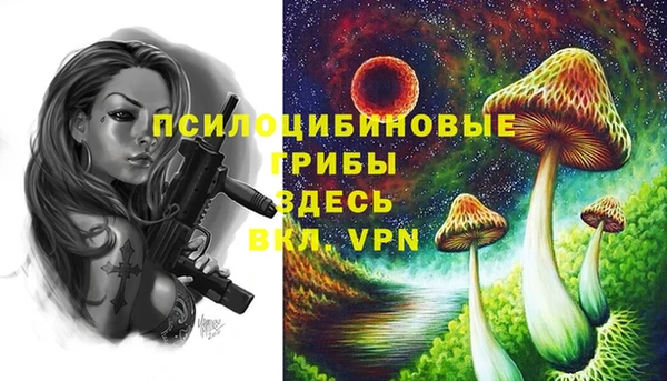 mix Анжеро-Судженск